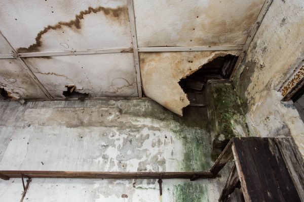 Water Damage Service in Lithonia