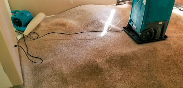 Flood Damage Cleanup in Lithonia
