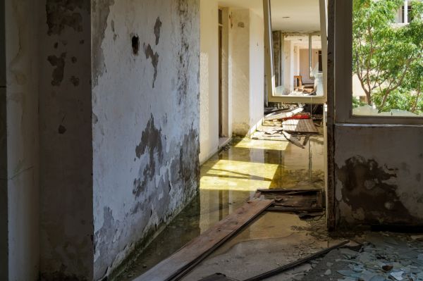 Water Removal Service in Lithonia